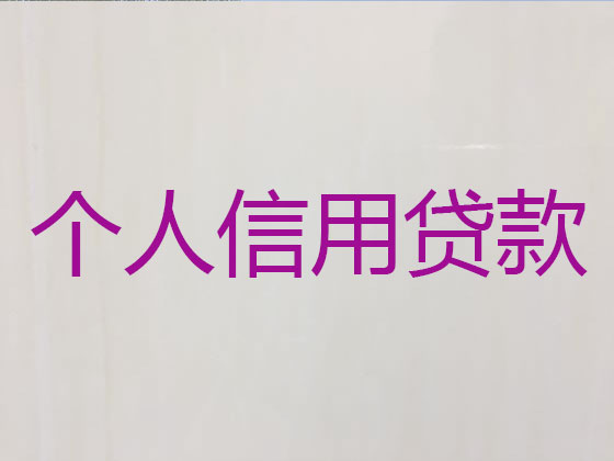 襄阳抵押贷款公司-银行信用贷款